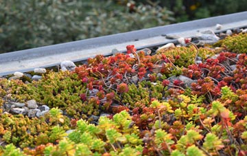 the cost of Meerhay green roof installation